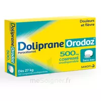 Dolipraneorodoz 500 Mg, Comprimé Orodispersible à EPERNAY