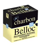 Charbon De Belloc 125 Mg Caps Molle B/60 à EPERNAY